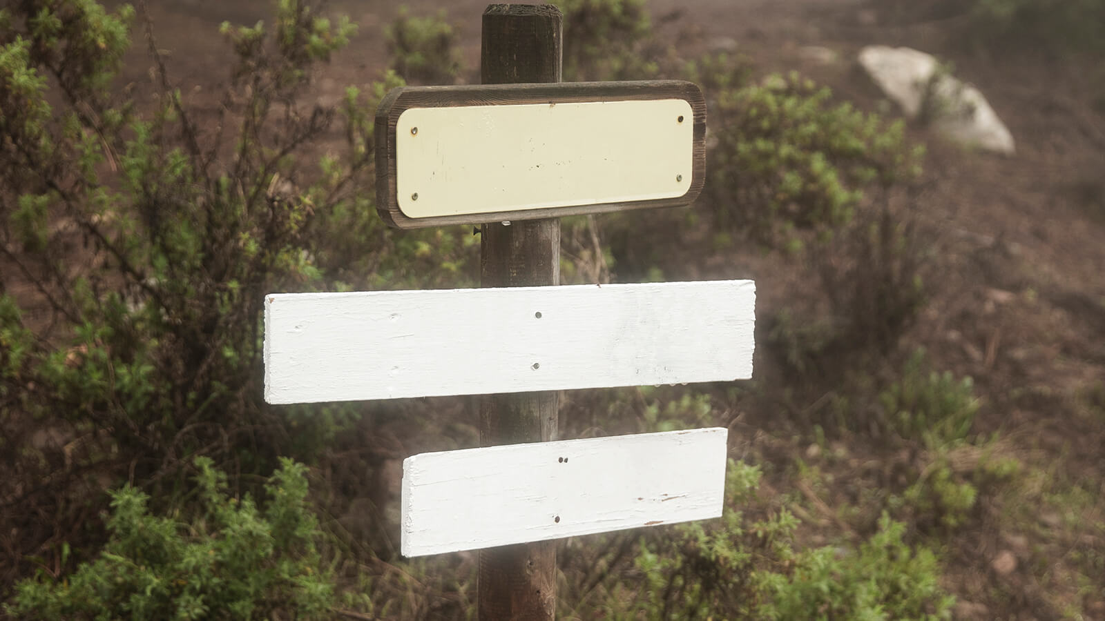 signpost pointing in different directions